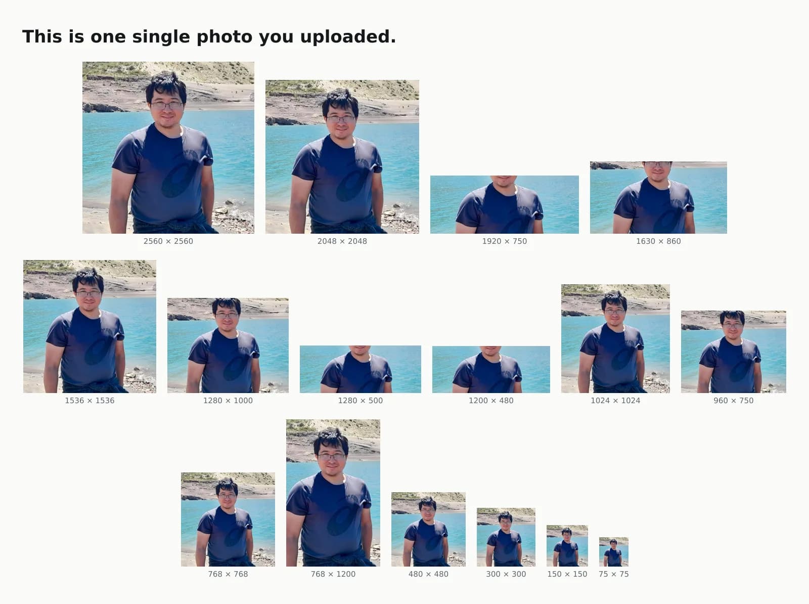 The same photo repeated sixteen times, in the sixteen sizes the website generated of every image, with the size in pixels below each copy: 2560×1707, 2048×1365, 1920×750, 1630×860, 1536×1024, 1280×1000, 1280×500, 1200×480, 1024×683, 960×750, 768×1200, 768×512, 480×320, 300×200, 150×150 and 113×75. Several are cropped to different proportions.