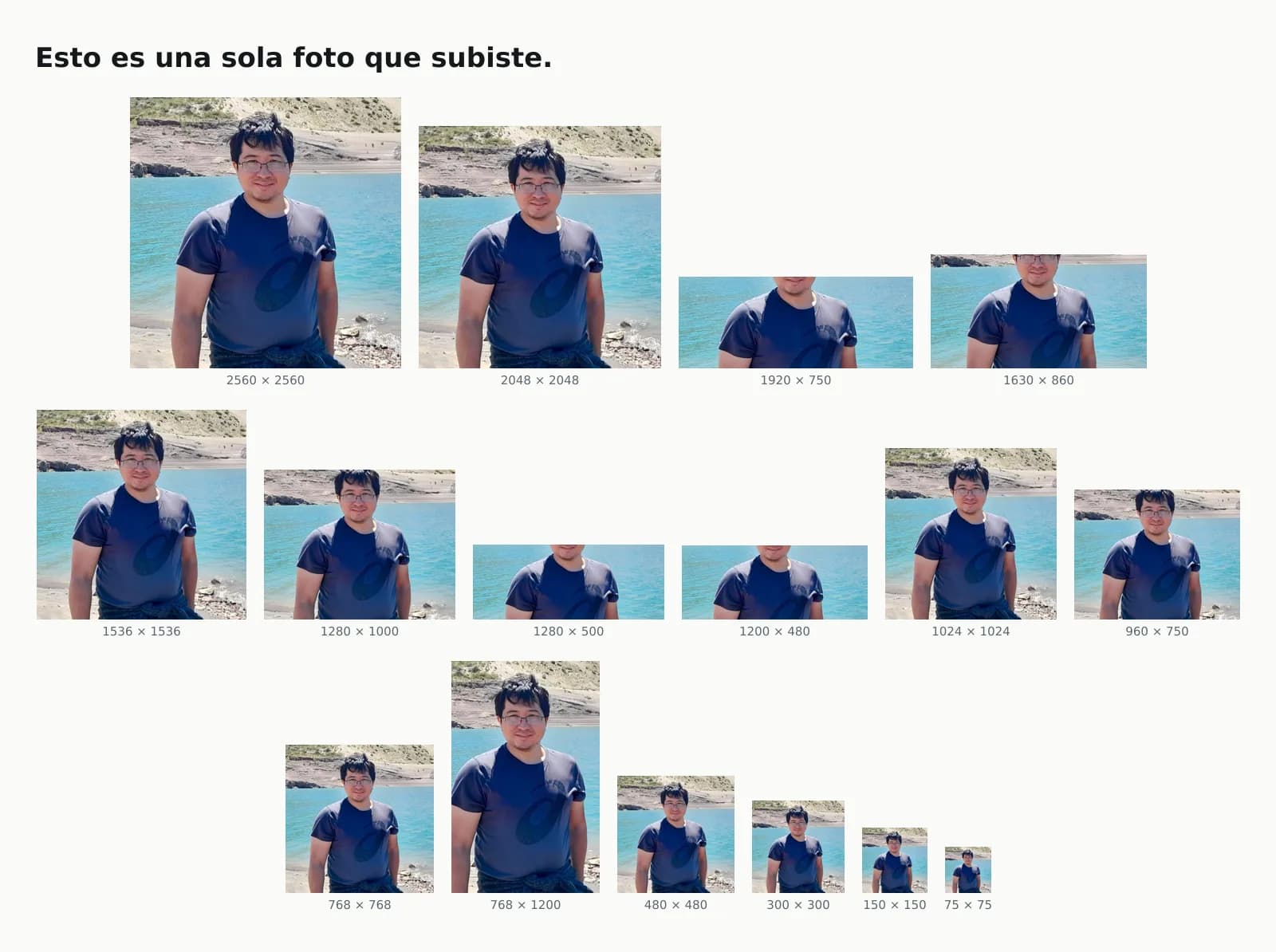 La misma foto repetida dieciséis veces, en los dieciséis tamaños que la página generaba de cada imagen, con la medida en píxeles debajo de cada copia: 2560×1707, 2048×1365, 1920×750, 1630×860, 1536×1024, 1280×1000, 1280×500, 1200×480, 1024×683, 960×750, 768×1200, 768×512, 480×320, 300×200, 150×150 y 113×75. Varias están recortadas en proporciones distintas.
